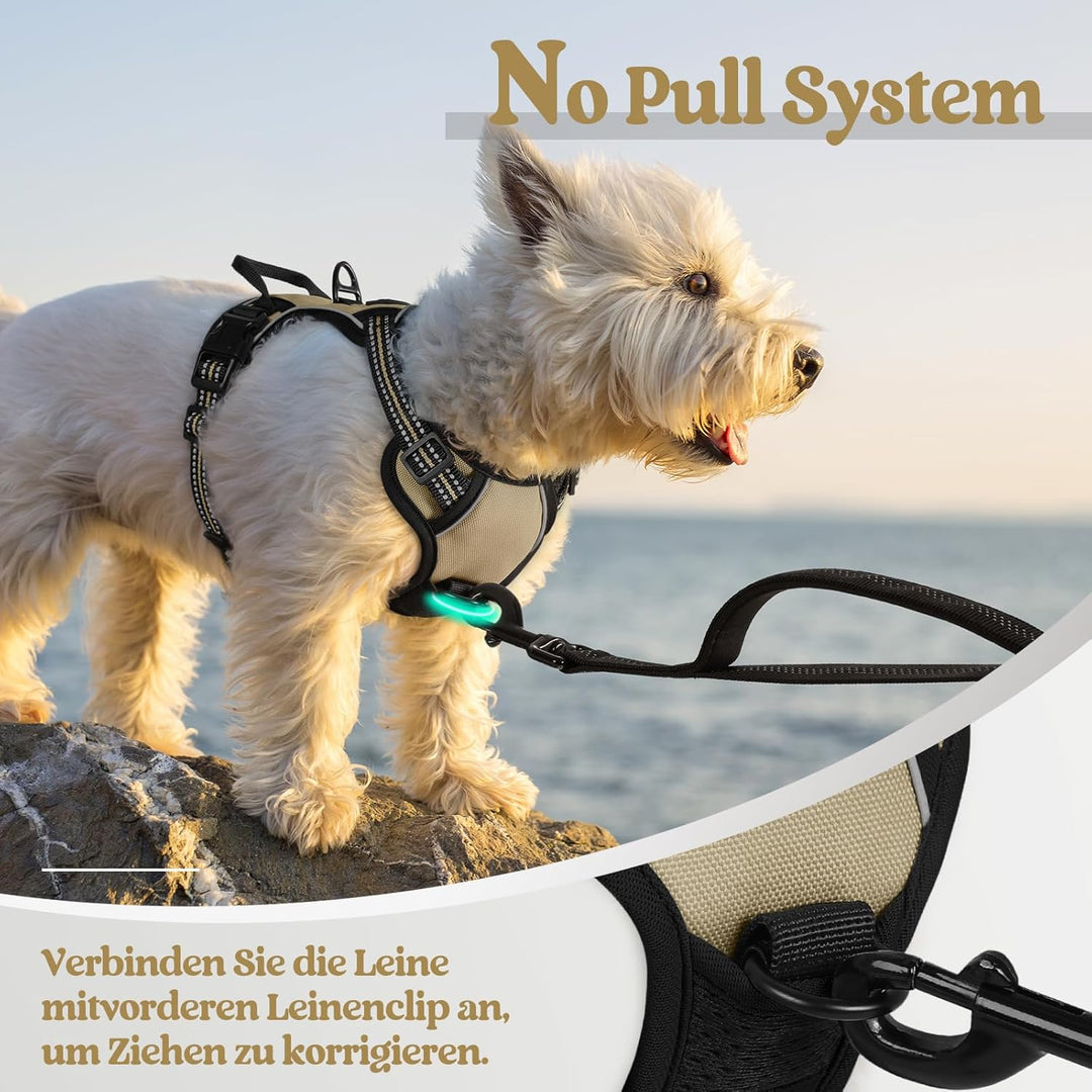 rabbitgoo Hundegeschirr Kleine Hunde, Anti Zug Geschirr mit Kontrolle, No Pull Verstellbar Hundegesc