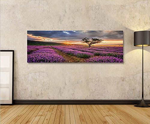 islandburner Bild Bilder auf Leinwand Lavendel Busch Büsche V2 Panorama XXL Poster Leinwandbild Wand