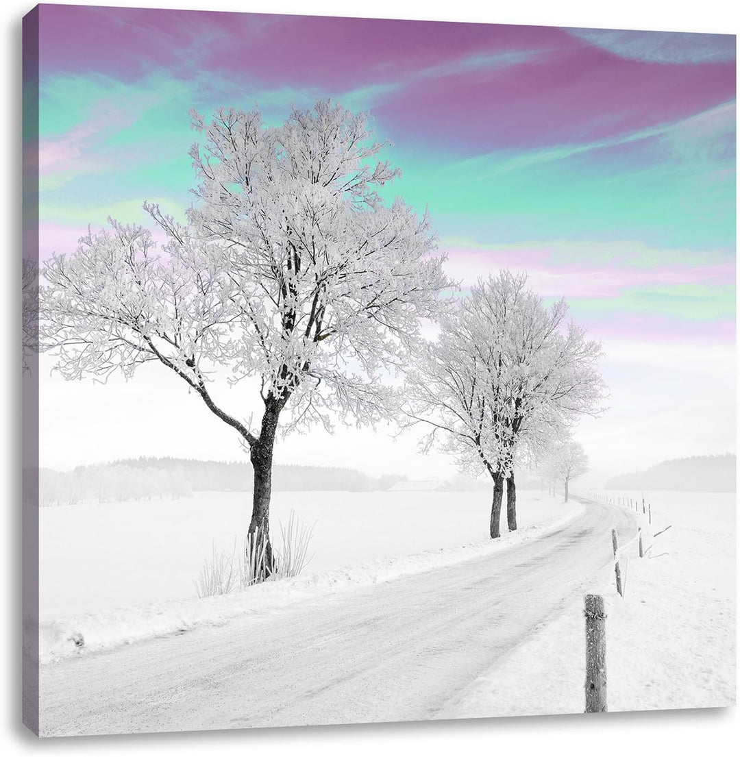 Pixxprint Schneebedeckter Baum in schöner Winterlandschaft schwarz/weiss, Format: 70x70 auf Leinwand