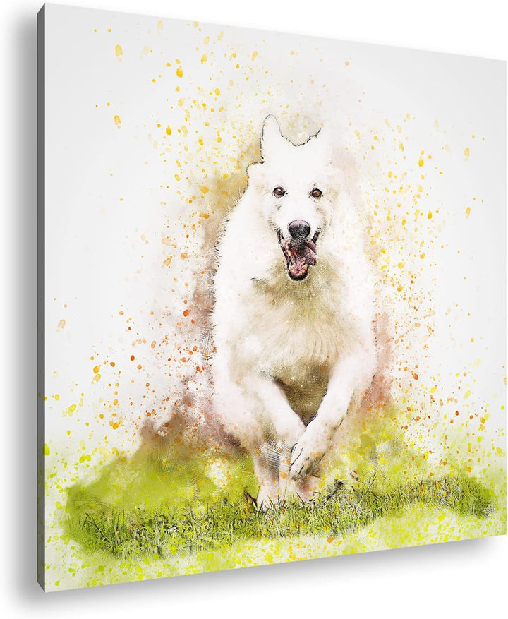 spielender Hund Format: 70x70 als Leinwandbild, Motiv fertig gerahmt auf Echtholzrahmen, Hochwertige