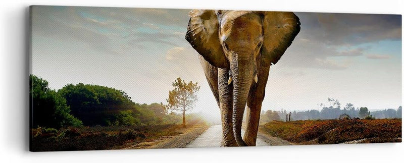 Panorama Bilder auf Leinwand Elefant Strasse Landschaft Leinwandbild 90x30cm Wandbilder Dekoration W