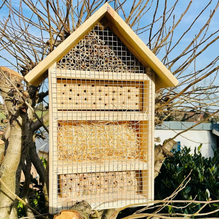 DARLUX massives handgefertigtes L Insektenhotel aus Holz I Haus 51 x 28 x 16 cm (HxBxT) I mit Stände