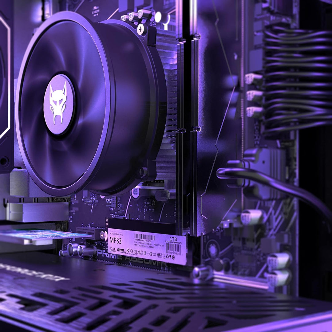 BEASTCOM Q5 | Pro Gaming, Gaming PC, AMD Ryzen 5 4500 6X 4,10GHz 12 Threads, RTX 5060 Ti 8GB, 32GB R