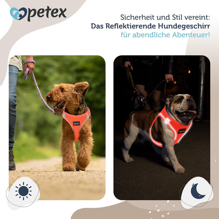 Petex Hundegeschirr für kleine & mittelgrosse Hunde - TUV Geprüft - Made in Europe - Welpengeschirr