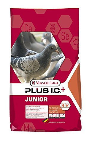 Versele-Laga Junior Plus Ic - Tauben 20 KG