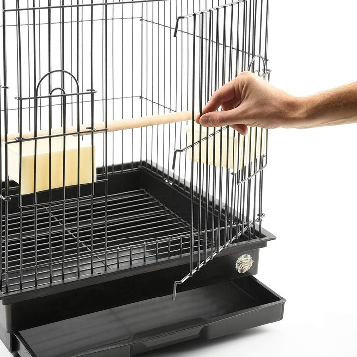 Montana Cages | Transportkäfig EOS ca. 44 x 44 x 68 cm Antik für Grosssittiche & Papageien, Vogelkäf