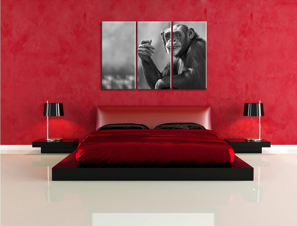Pixxprint Aufmerksamer Schimpanse Kunst B&W als Leinwandbild/Grösse: 3 Teilig (120x80) cm/Wandbild/K