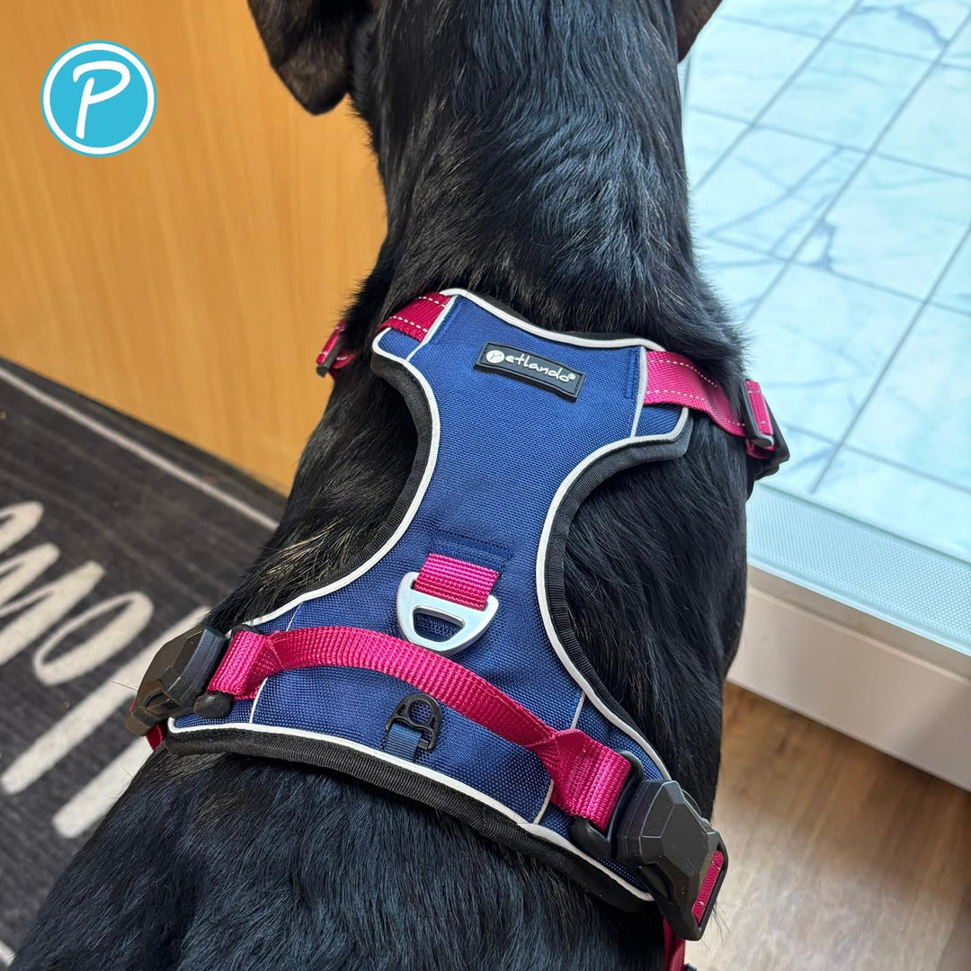 Petlando Hundegeschirr Magnetech– Innovative Magnetschnalle, mit Griff, Zwei D-Ringe, reflektierend,