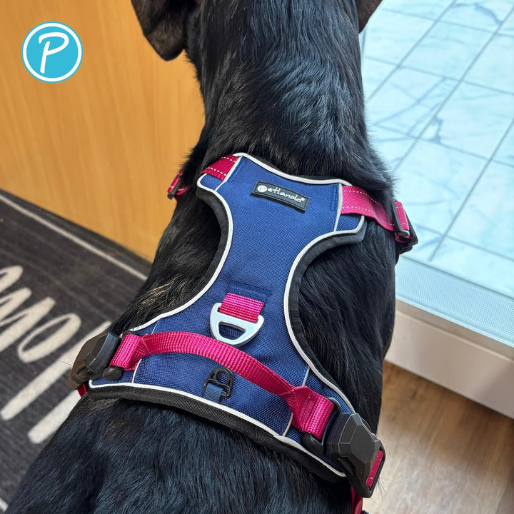 Petlando Hundegeschirr Magnetech– Innovative Magnetschnalle, mit Griff, Zwei D-Ringe, reflektierend,