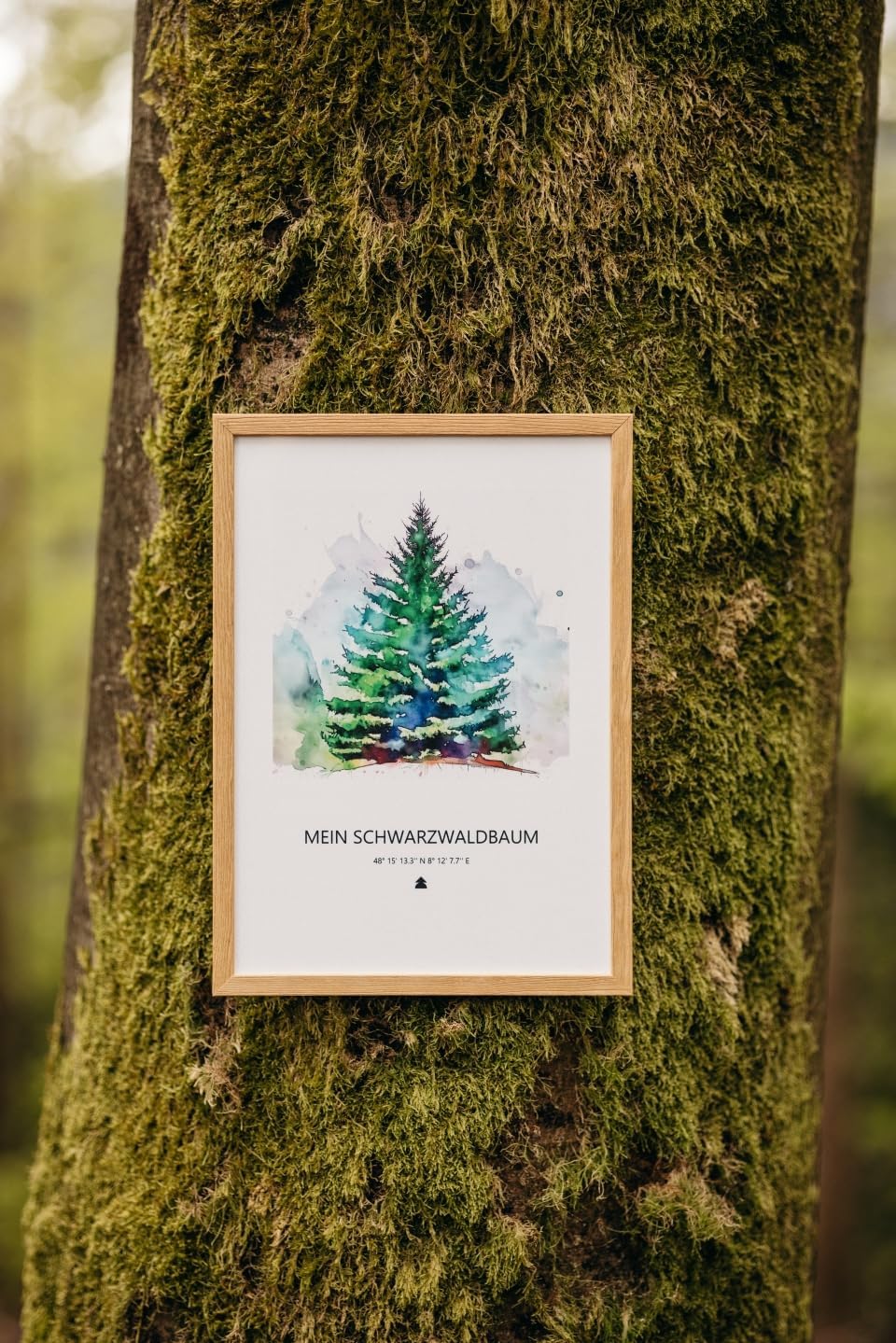 Baumspende & Aquarell 'Tanne Classy' (Druck im Rahmen) | Nachhaltig | Geschenk Geburtstag, Hochzeit,