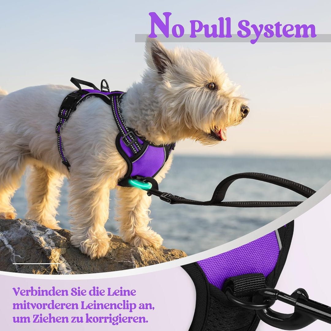 rabbitgoo Hundegeschirr Kleine Hunde, Anti Zug Geschirr mit Kontrolle, No Pull Verstellbar Hundegesc