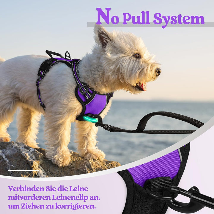 rabbitgoo Hundegeschirr Kleine Hunde, Anti Zug Geschirr mit Kontrolle, No Pull Verstellbar Hundegesc