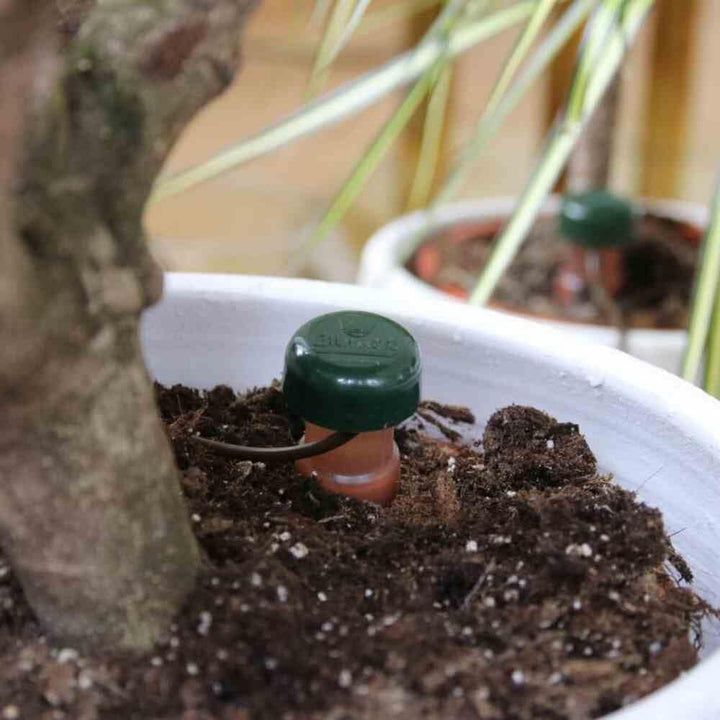 Blumat 12500 Bewässerung für Pflanzen, Pflanzenbewässerung Wasserspender, Terracotta/grün (9 Stück)