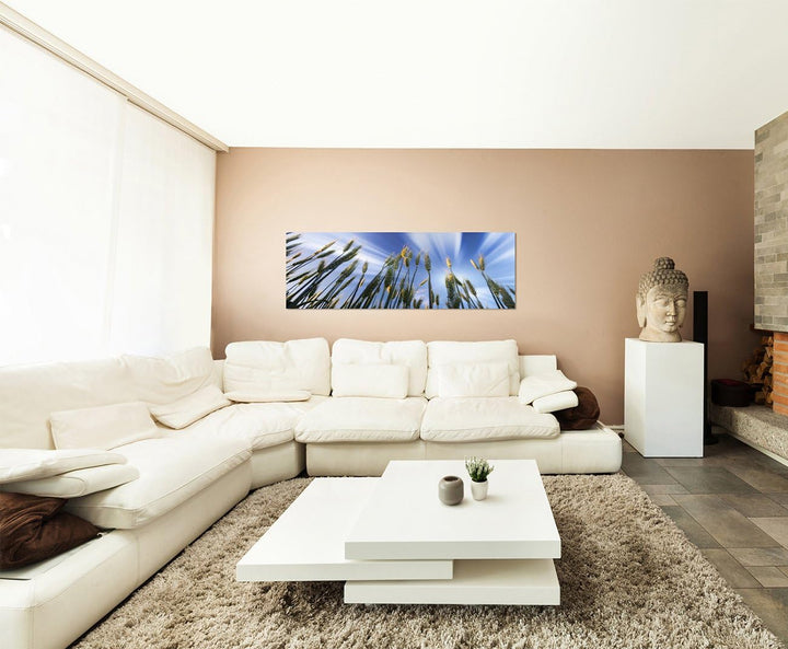 Paul Sinus Art Panoramabild auf Leinwand und Keilrahmen 150x50cm Kornfeld Frühling Himmel Wolkenschl