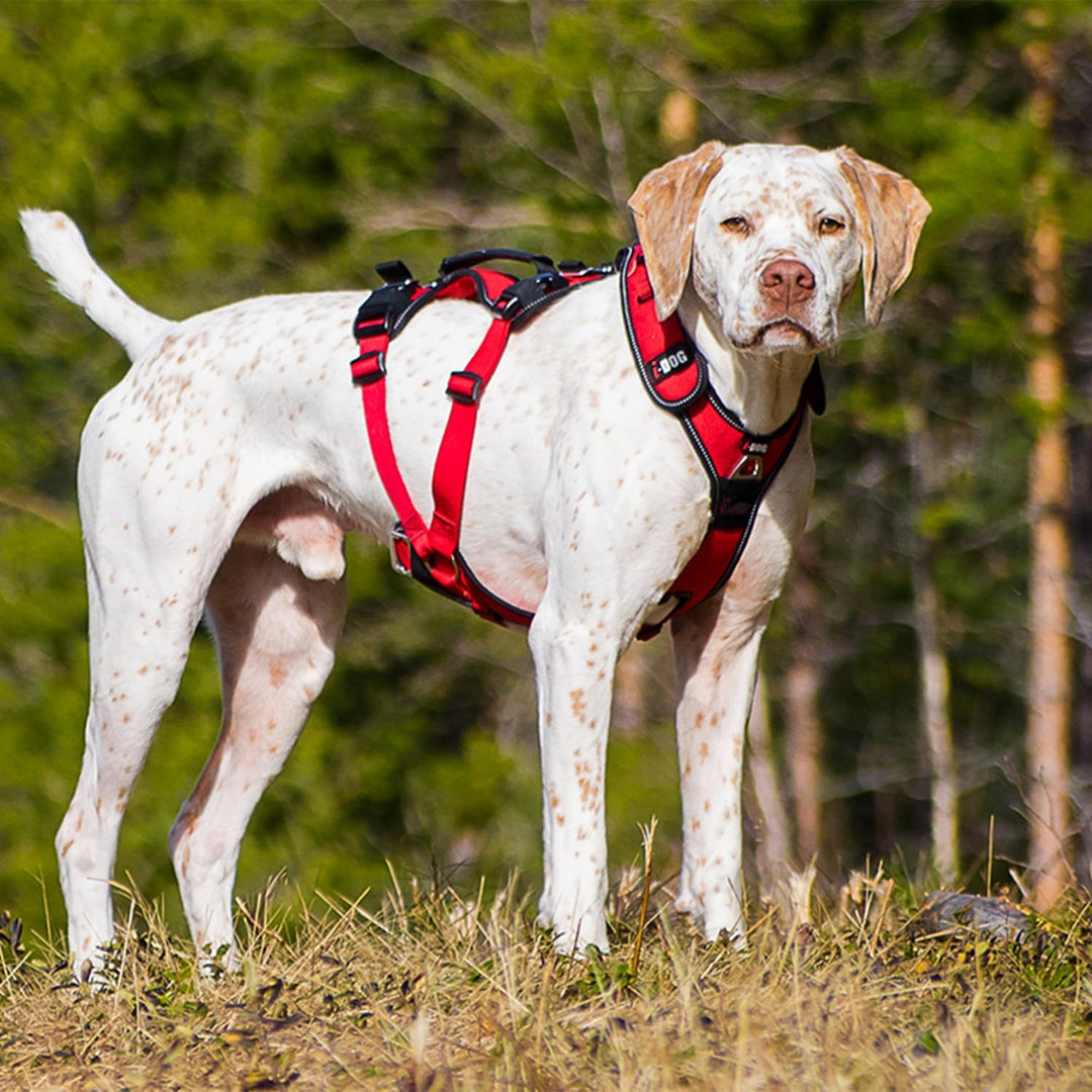 Trek I-Dog Comfort Hundegeschirr, Rot (S), S