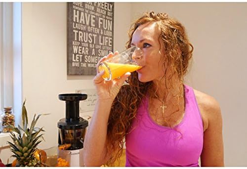 VASNER Entsafter schwarz für Obst und Gemüse Slow Juicer Saftpresse elektrisch für bessere Säfte ink