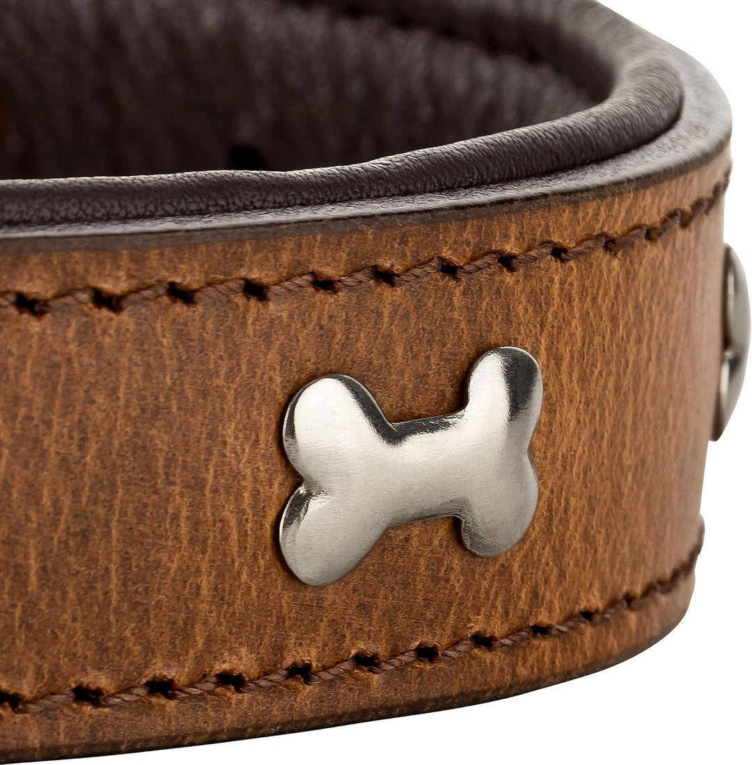 Schnüffelfreunde Lisa Halsband für Hunde aus Leder mit Applikation, Hundehalsband für den grossen un
