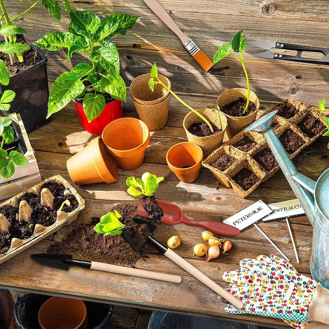 Mini Pflanzen Werkzeug Set,13 Stück Mini-Gartengeräte-Set Mini-Gartenhandtransplantation Sukkulente