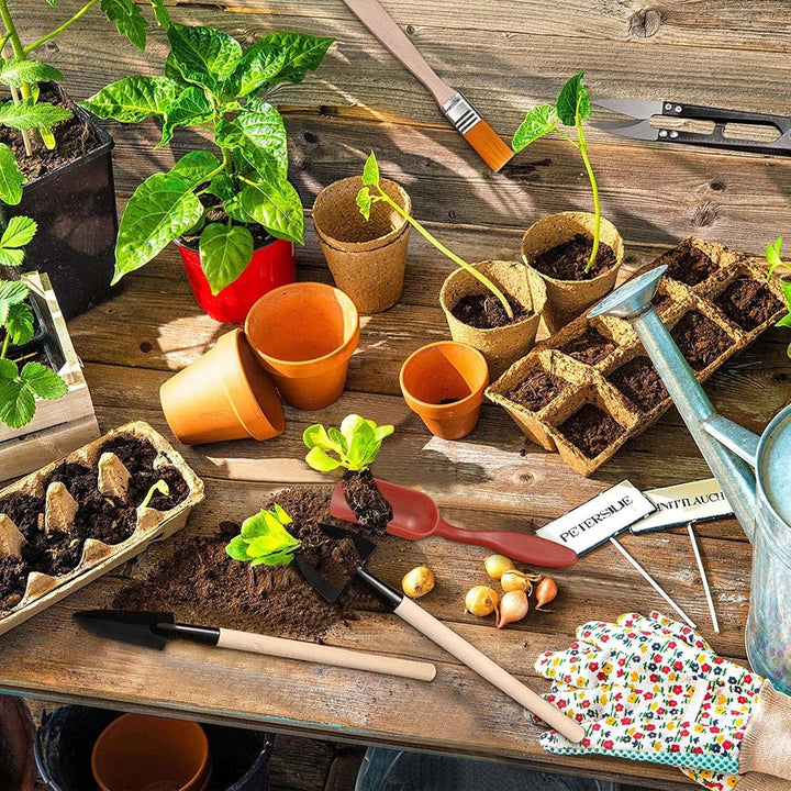 Mini Pflanzen Werkzeug Set,13 Stück Mini-Gartengeräte-Set Mini-Gartenhandtransplantation Sukkulente
