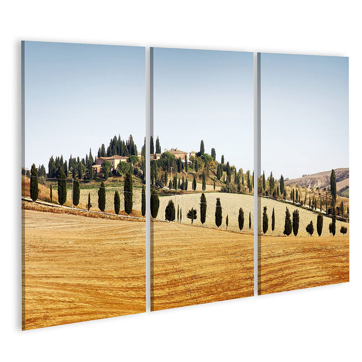 islandburner Bild auf Leinwand Typische Landschaft In Der Toskana Im Herbst Bilder Wandbilder Poster