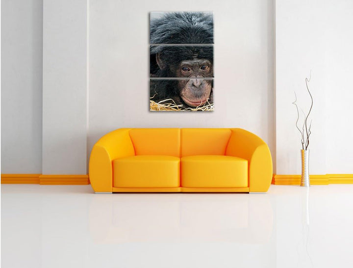 Pixxprint Kleiner Schimpanse im Heu 3-Teiler Leinwandbild 120x80 Bild auf Leinwand