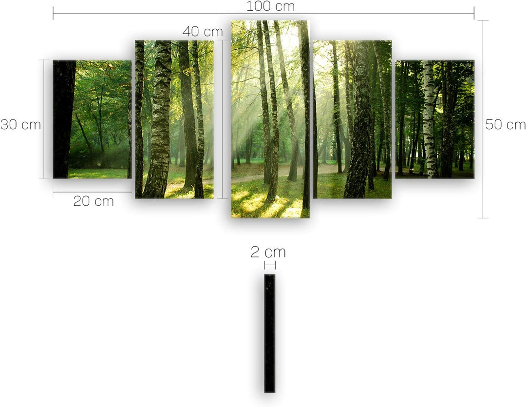ge Bildet Bild auf Leinwand | Landschaftsbilder - Wald I in 100x50 cm mehrteilig als Wandbild | Wand