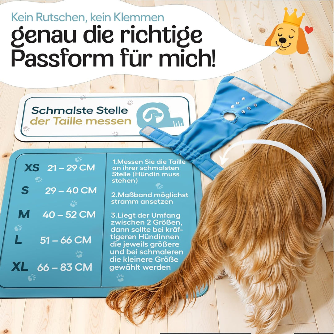 HUND IST KÖNIG Hundewindeln für Hündinnen (3 Stück) - Hochabsorbierende Läufigkeitshose für Hündinne