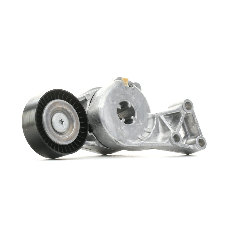 INA 533 0076 30 Spannarm, Keilrippenriemen
