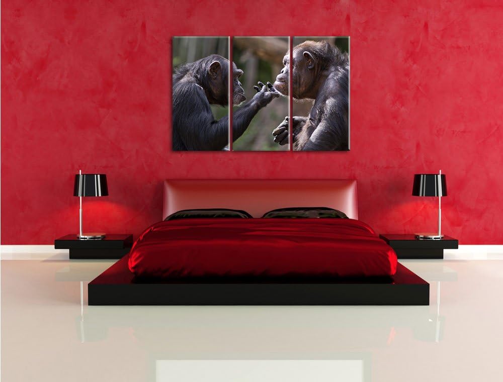 Pixxprint Schimpansen Freundschaft als Leinwandbild | Grösse: 3 Teilig (120x80) | Wandbild| Kunstdru