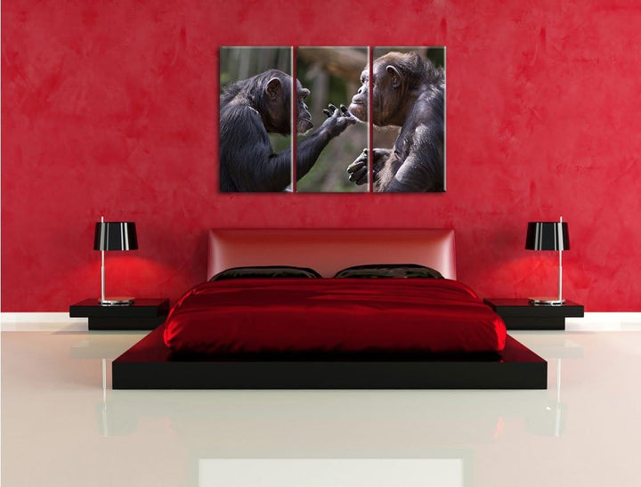 Pixxprint Schimpansen Freundschaft als Leinwandbild | Grösse: 3 Teilig (120x80) | Wandbild| Kunstdru