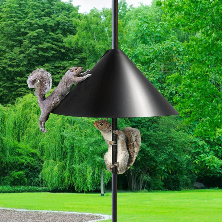 Eichhörnchen-Windabweiser für Pfosten, Eichhörnchen-sichere Vogelfutterstation - Eichhörnchen-Vogelf