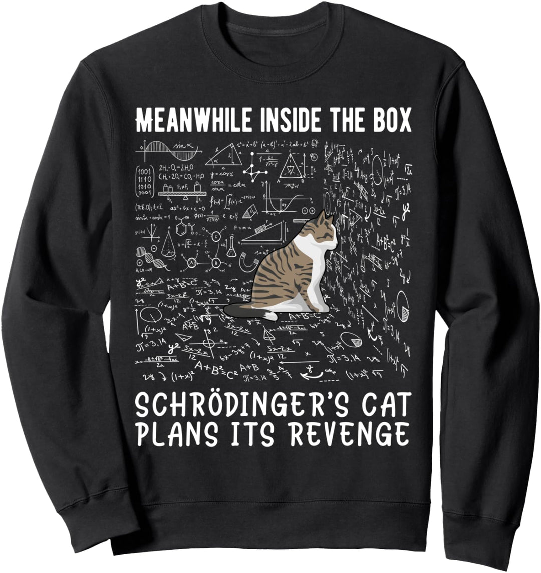Meanwhile Inside The Box Schródingers Cat Plans Is Revenge Sweatshirt
