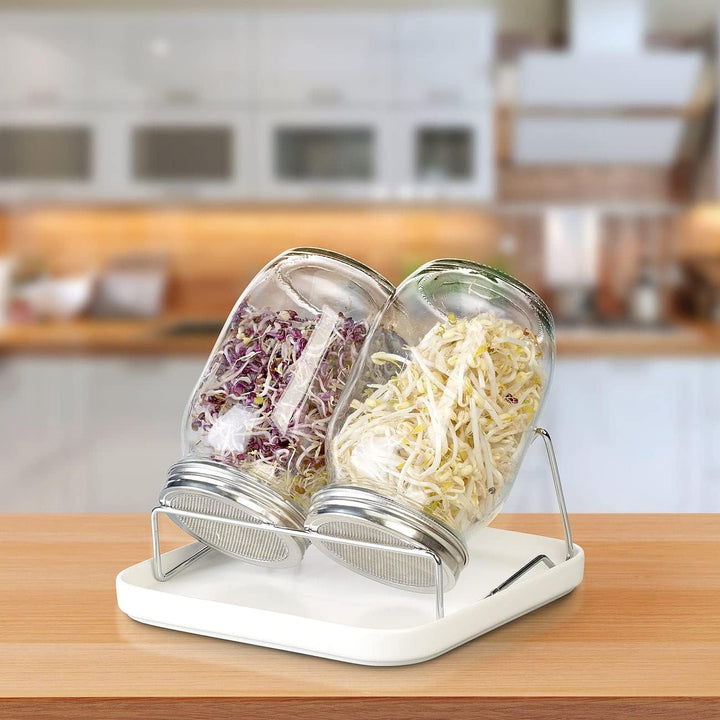 Royal Gardineer Sprossengläser: 2er-Set Keimgläser mit Doppelständer, Kressesieb, Auffangschale, je