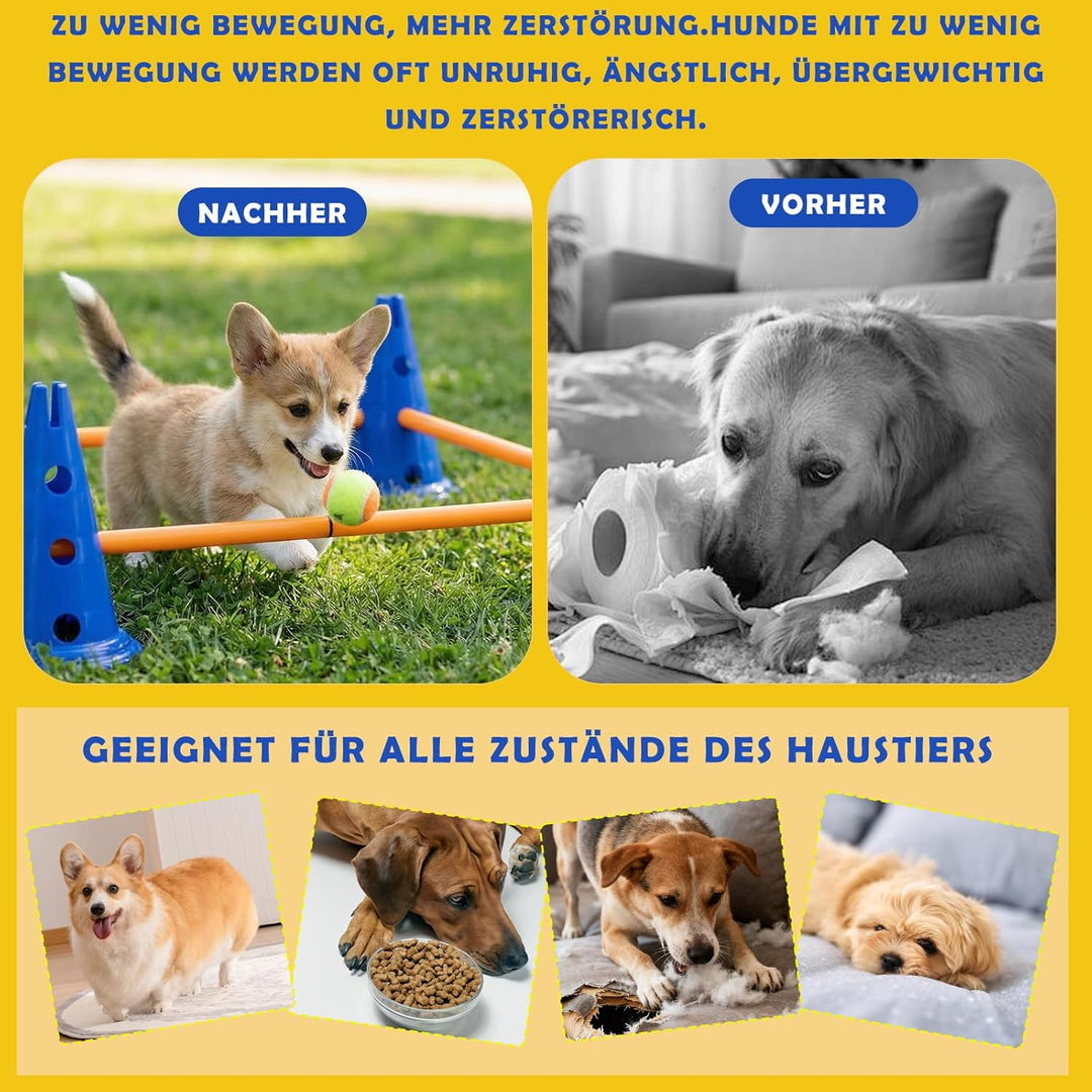 Cavaletti Stangen Hund Agility Set Hunde Klein Gross 30 cm Hoch, Sports Steckhürdenset mit 8 Kegel 1
