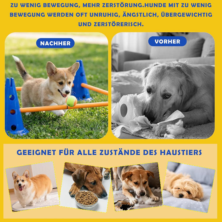 Cavaletti Stangen Hund Agility Set Hunde Klein Gross 30 cm Hoch, Sports Steckhürdenset mit 8 Kegel 1