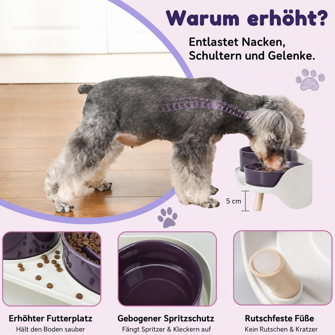 Antischlingnapf Hunde Keramik Hundenapf Erhöht - Anti Schling Napf Hund Set für Mittelgrosse und Kle