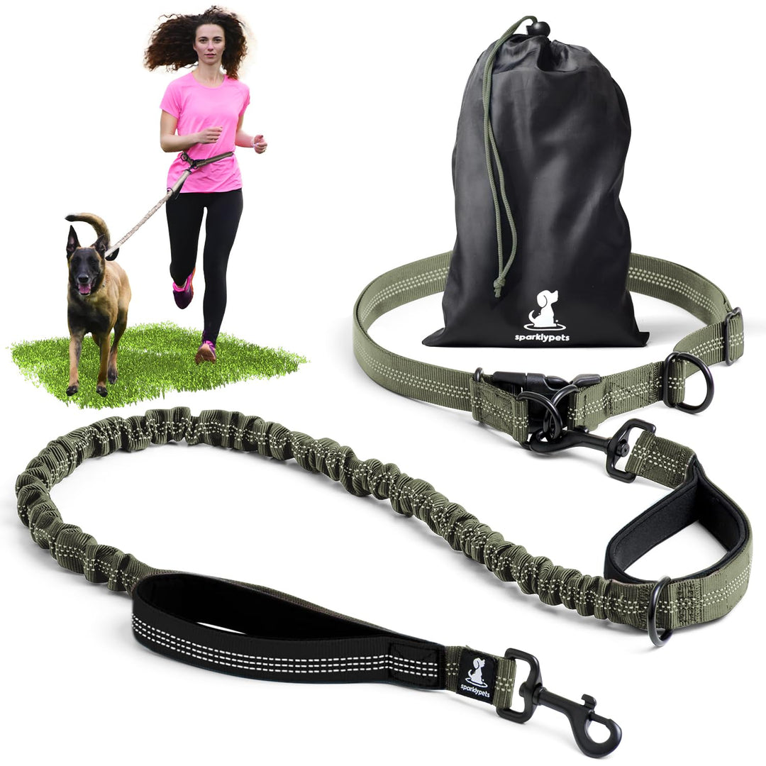 Joggingleine für Hunde zum Laufen, Joggen, Wandern | 2 in 1 Joggingleine und Normale Hundeleine für