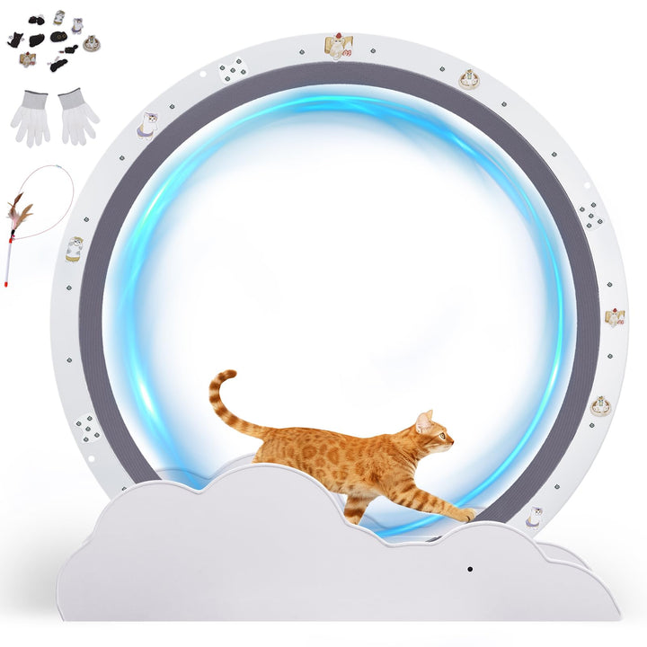 GTPLAYER Katzenlaufrad, laufrad Katze, Extra grosser 100 cm, ultraleises Laufrad mit Abnehmbarer Tep