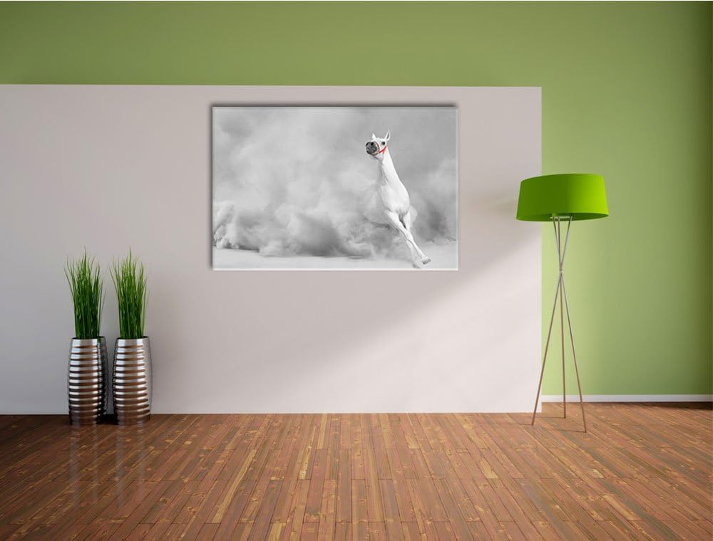 weisser Hengst in der Wüste schwarz/weiss Format: 100x70 auf Leinwand, XXL riesige Bilder fertig ger