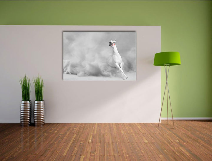 weisser Hengst in der Wüste schwarz/weiss Format: 100x70 auf Leinwand, XXL riesige Bilder fertig ger