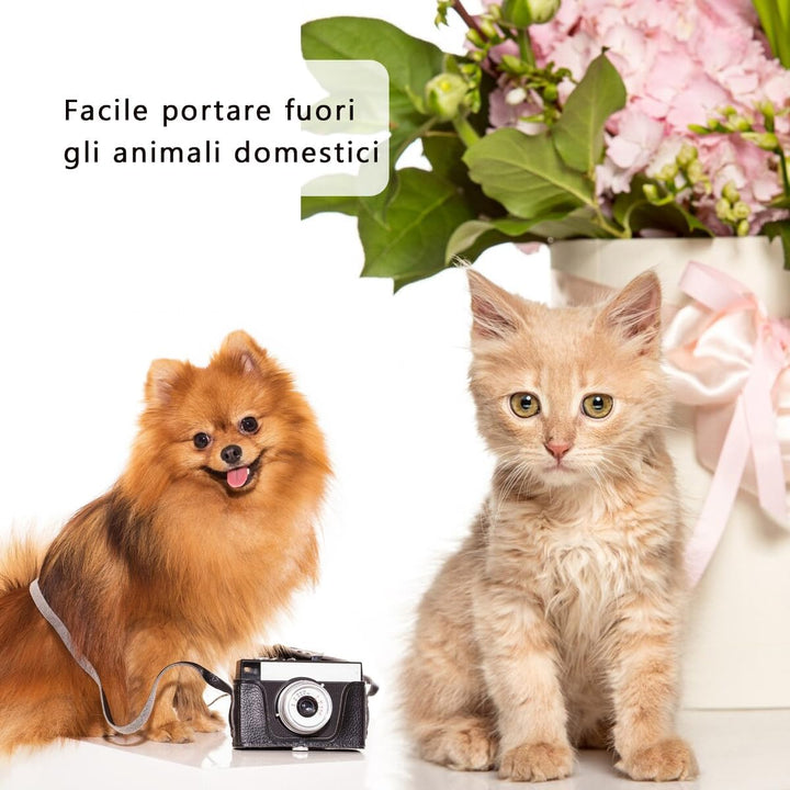 Reisetasche für Hunde, Transporttasche für Spaziergänge und im Freien, für Hund/Katze bis 7,5 kg,Sch