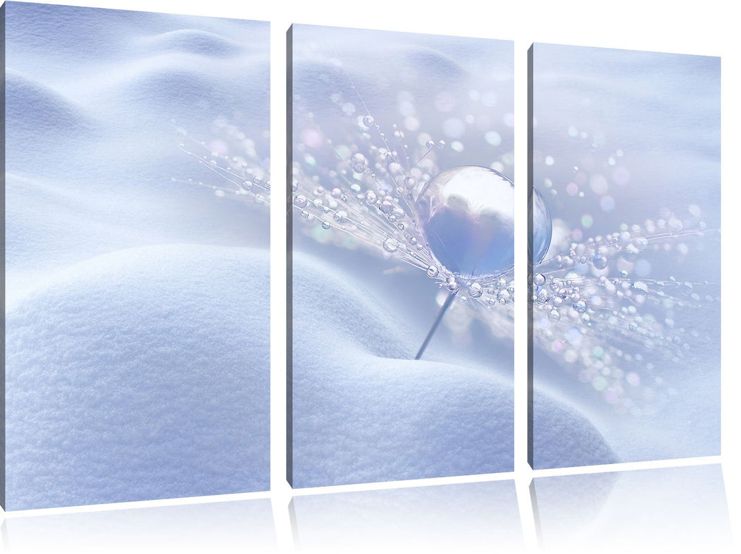 Pixxprint Tautropfen auf Einer Pusteblume im Schnee 3-Teiler Leinwandbild 120x80 Bild auf Leinwand