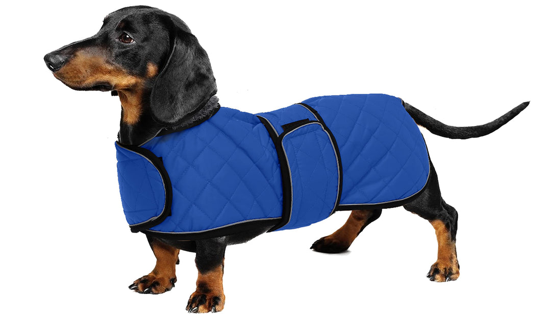 Geyecete - Warmer wintermantel für dackel Hunde,Hunde winterjacken mit plüschfutter,Outdoor jacken m