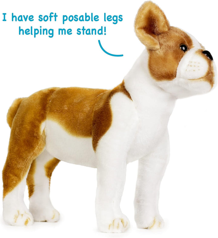 Bobby The Boston Terrier Boxer - 14 Inch Stuffed Animal Plush