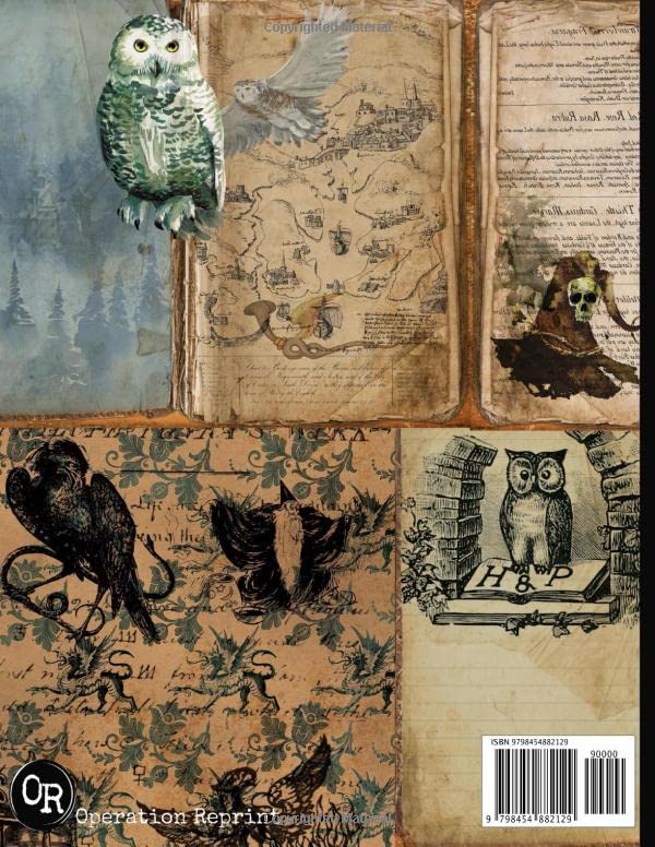 Wizard School Junk Journal: Ephemera Kit Includes 22 Pages For Magic School Scrapbooking, Taschenbuc