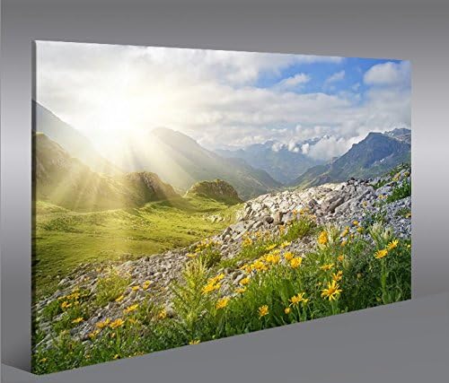 islandburner Bild Bilder auf Leinwand Bergwiese V2 Alpen Landschaft Berge Sonne 1p XXL Poster Leinwa