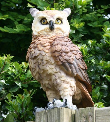colourliving Dekofigur Eule Uhu Greifvogel Gartenfigur Tierfigur Gartendekoration Vogeldeko
