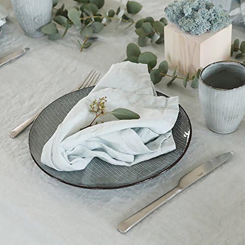 Linenme Servietten, eisblau, Stonewashed-Optik, 53 cm x 53 cm, 4 Stück 53x53x0.5 cm, 53 x 53 cm (4er