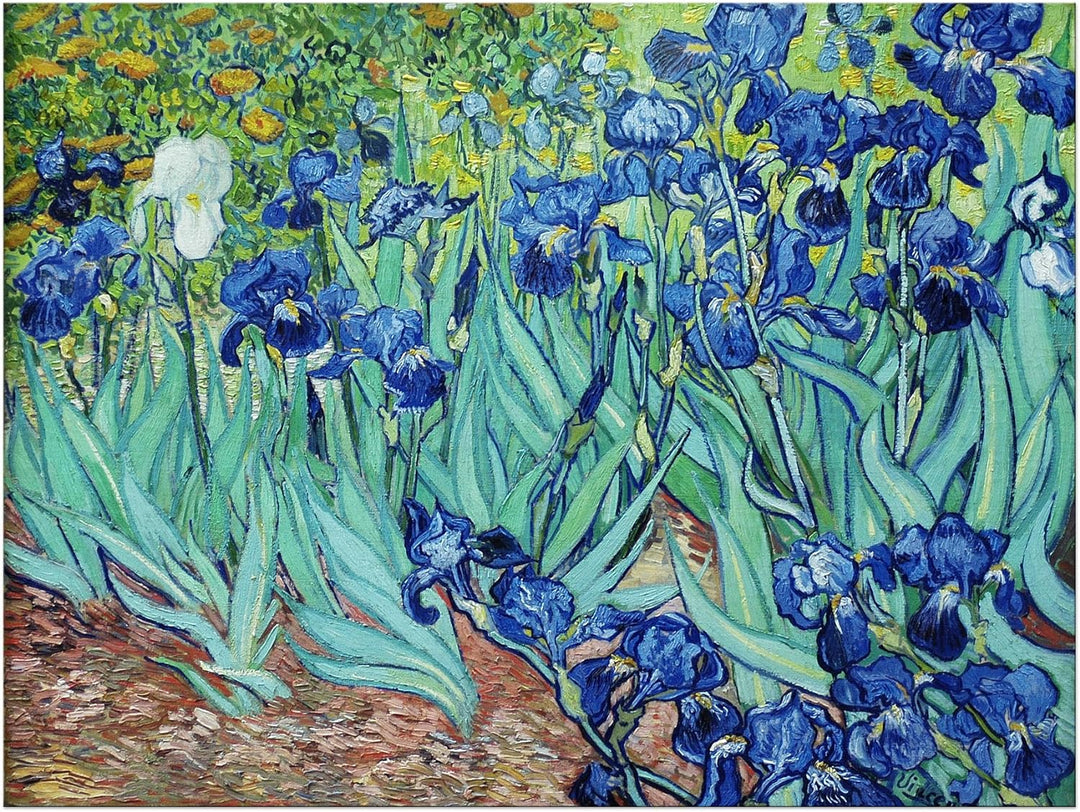 Bilderdepot24 Bild auf Leinwand | Vincent van Gogh Iris in 70x50 cm als Wandbild | Wand-deko Dekorat