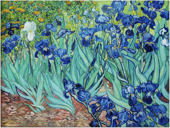 Bilderdepot24 Bild auf Leinwand | Vincent van Gogh Iris in 70x50 cm als Wandbild | Wand-deko Dekorat